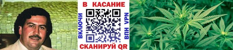Псилоцибиновые грибы Каменка