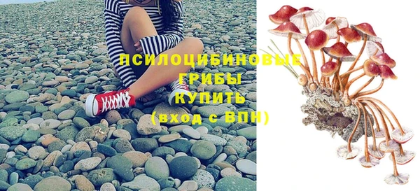 прущие грибы Грязовец