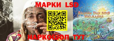 амф Гатчина