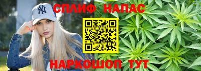 амф Гатчина