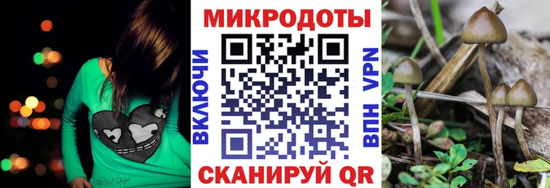 гидра рабочий сайт  Каменка  Галлюциногенные грибы мухоморы 