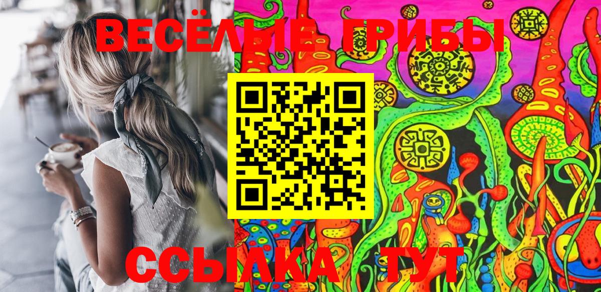 Галлюциногенные грибы Cubensis Каменка