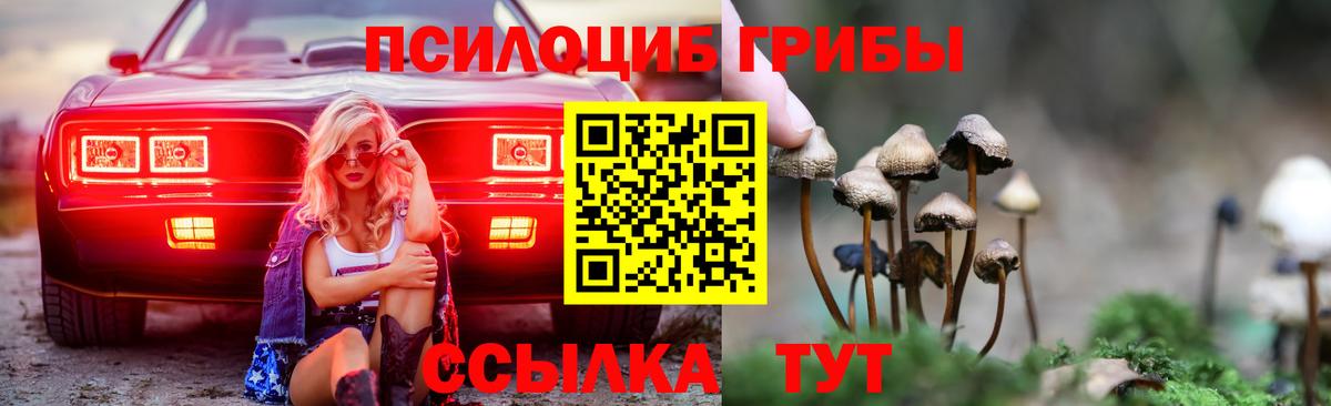 Галлюциногенные грибы мухоморы  Вход с VPN  Каменка 