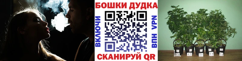 купить закладку  Каменка  Канабис Ganja 